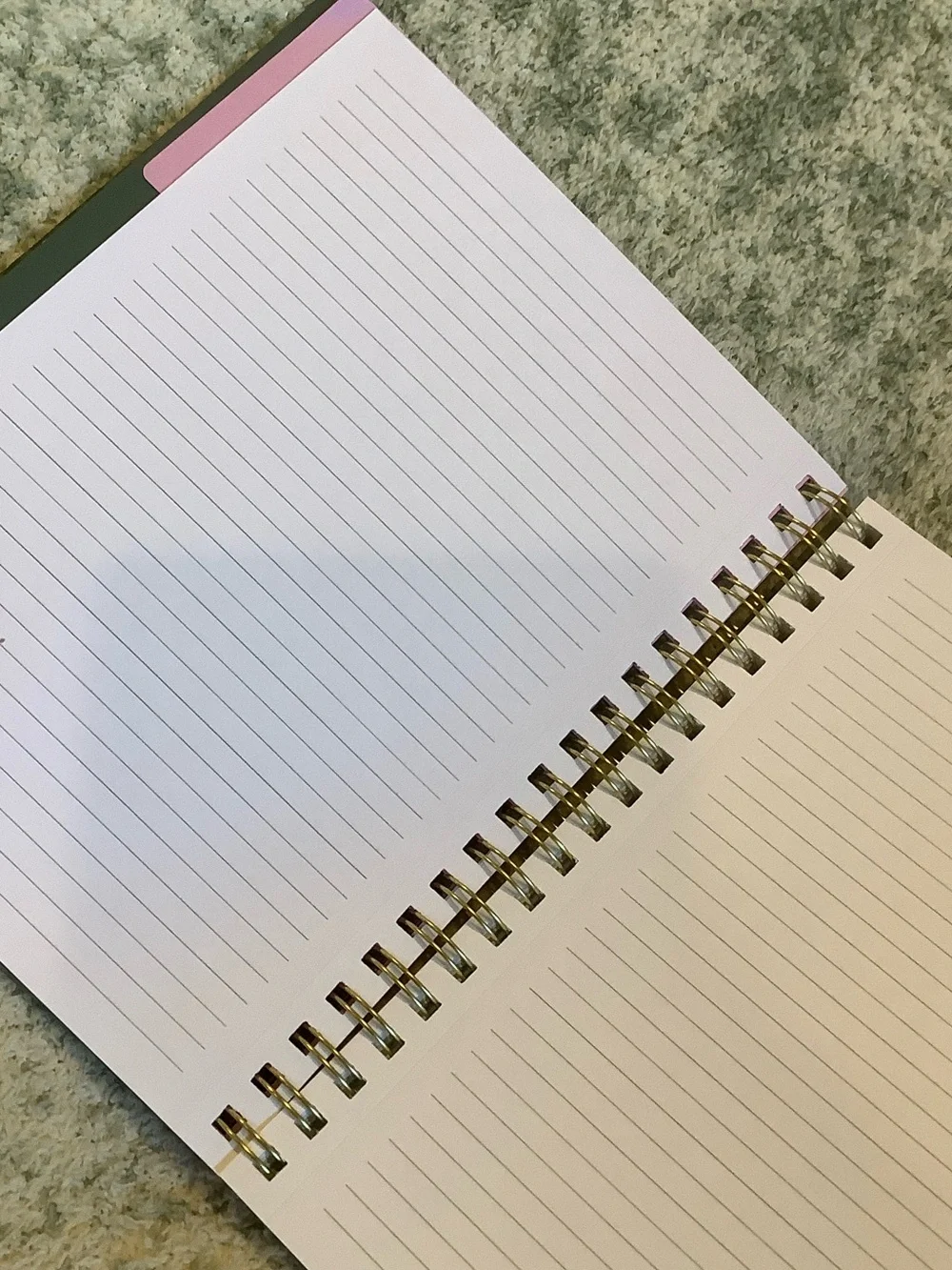 Stay Focused Spiral 3 Subject Notebook with Colorful Bug Design NWT 160pgs 8x10”